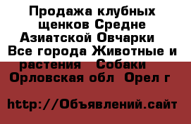 Продажа клубных щенков Средне Азиатской Овчарки - Все города Животные и растения » Собаки   . Орловская обл.,Орел г.